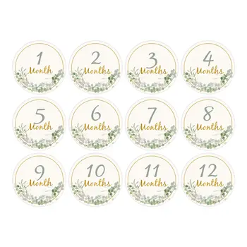 Baby Monthly Milestone Cards 1