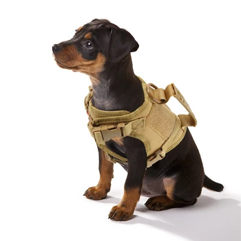 Tactical Puppy Harness & Leash 1