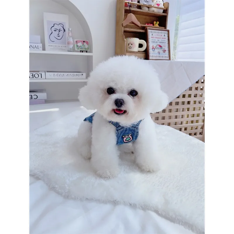 강아지 옷 데님 스트랩 스커트 조끼, 소형 바이커 포메라니안