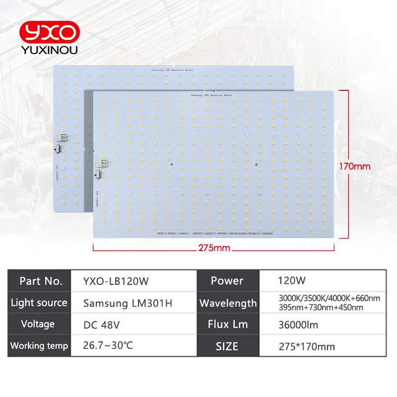DIY Plant lamp dimmer Plant growth lamp accessories Mingwei XLG waterproof IP67 driver Samsung plant growth bead board led grow light
