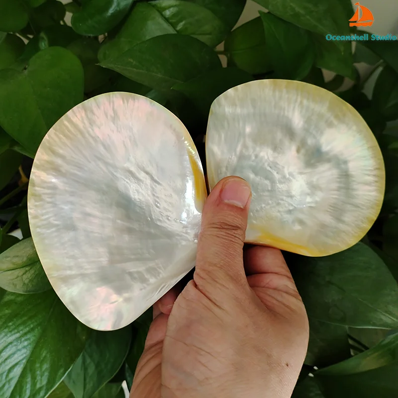 2PCS Natural Yellow Pearl Oyster Shell Dish Polished Shell Handmade Creative DIY Jewelry Beads Decorative Caviar Container 2