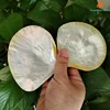2PCS Natural Yellow Pearl Oyster Shell Dish Polished Shell Handmade Creative DIY Jewelry Beads Decorative Caviar Container 2