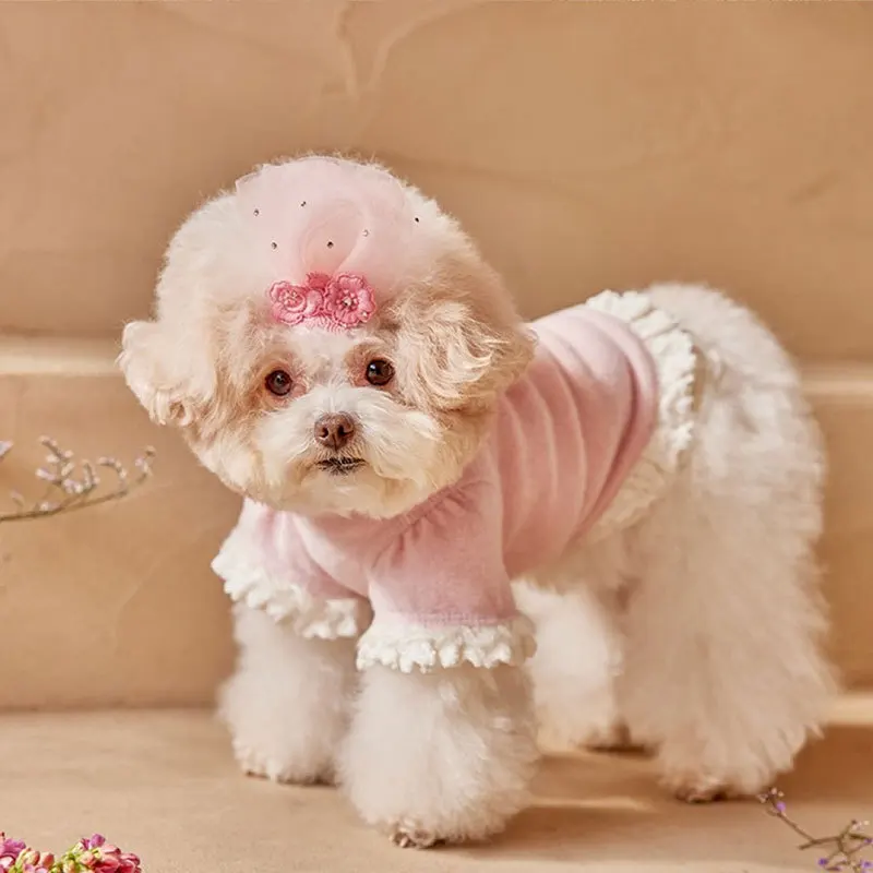

Dog Costume Pets Autumn Winter Fashionable Lace Stitching Small and Medium-sized Dog Clothes Cute Princess Style Cat Clothes
