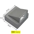5W Grey Body