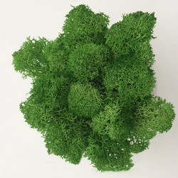 Affordable Artificial Moss Grass for DIY Crafts and Home Decor (Green)