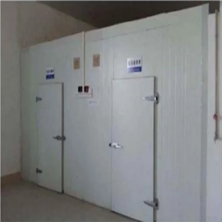 45c Freezing Chamber Restaurant Equipment Water Chiller Cold Room With Pump Freezer