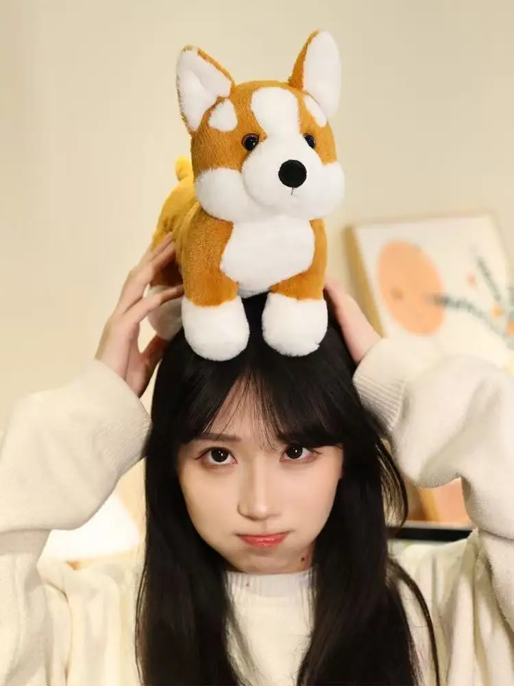 Sa45fdb5376c44aef802f4d5f24b53585w - Corgi Gifts