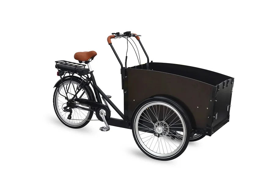 Triporteur Roue Velo Frein Tambour Clamber-Tricycle électrique