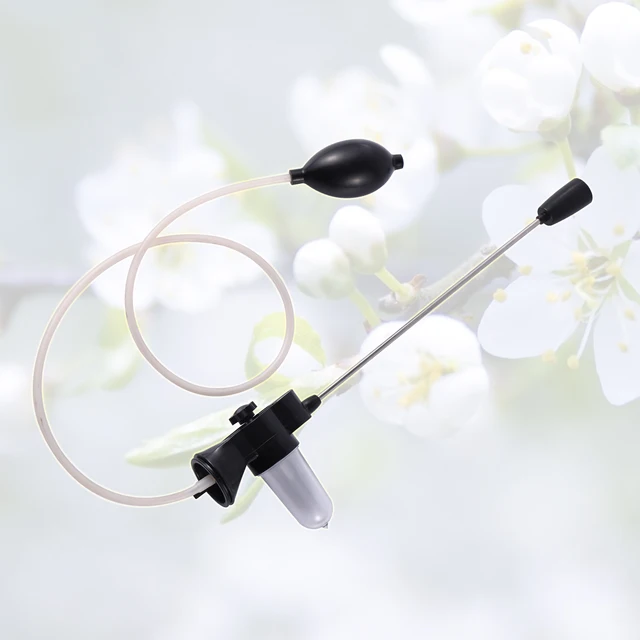 Paradicsom Beporzó Őszibarack Körte Kiwi Zöldség Dinnye Növényi Gyümölcs Virág Kert Üvegházhatású Kézboláló Eszköz