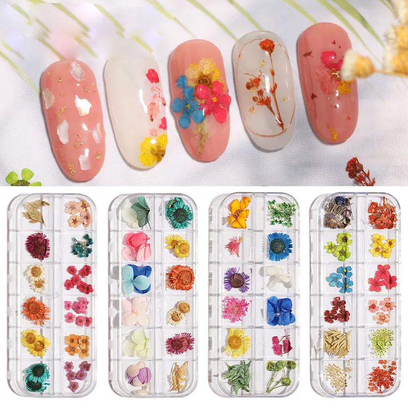 1box Dried Flowers Nail Art 3d Dry Flowers For Nails Small Tiny Dried Flowers For Nail Art