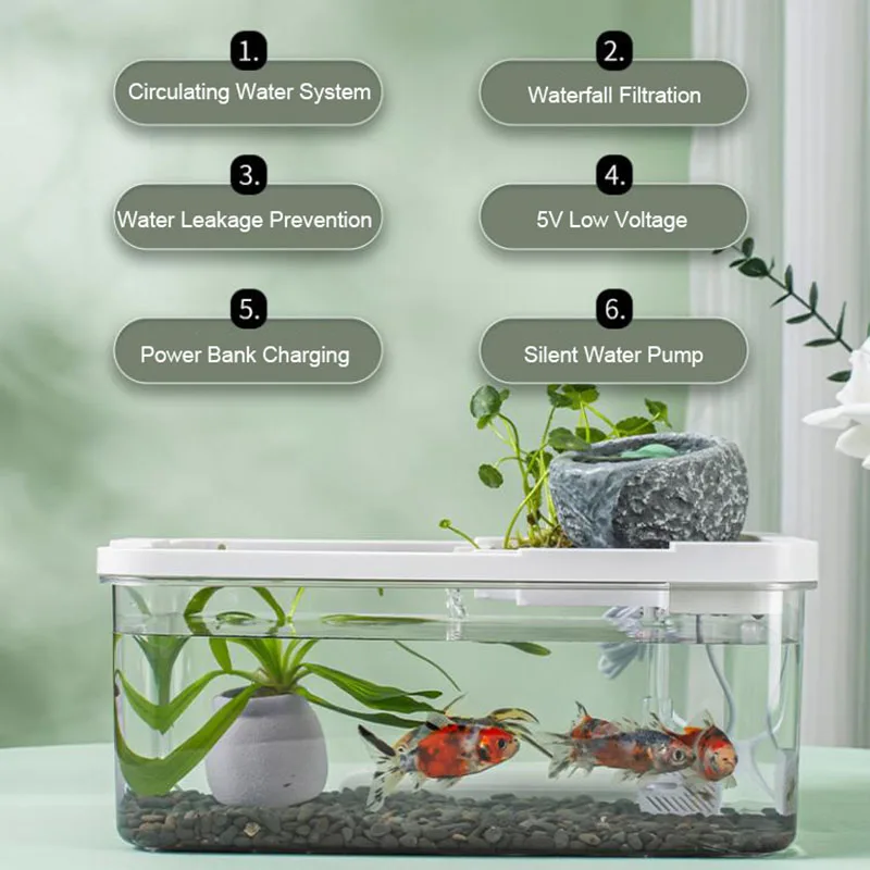 Acrylic mini aquarium showing water circulation