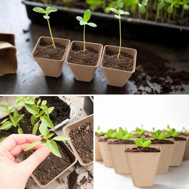 GTBL 120 Pack Square Peat Pots For Seedlings, Seed Starting Pots With Drainage Holes,Biodegradable Herb Seed Pots Kits 5