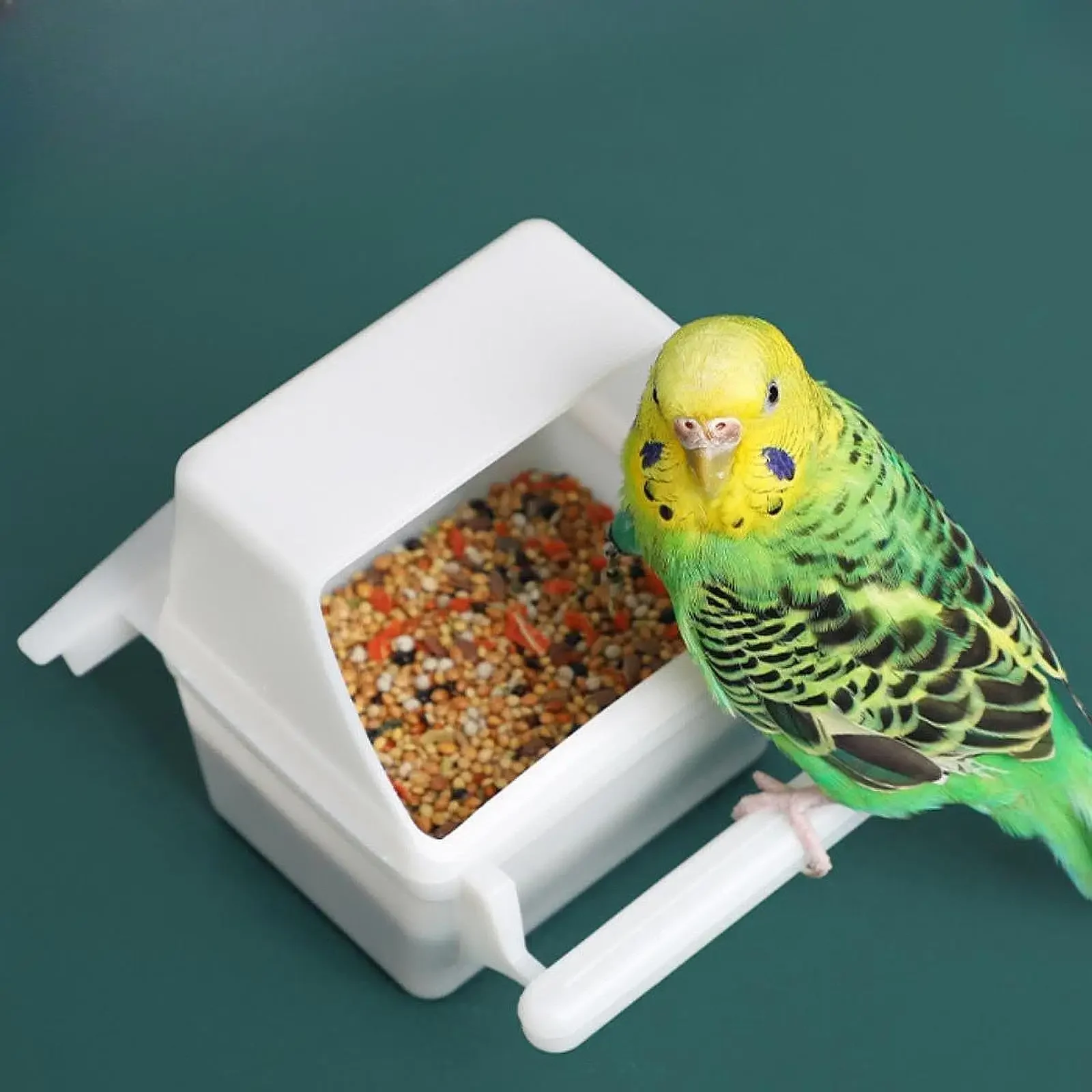 Hanging Bird Feeders for Cage Plastic Food Container with Perch for Parakeets