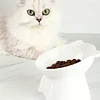 cat bowl, anti vomiting 15 degree tilted cat tray, stable base, not easy to overturn, pet drinking or food feeding station 4