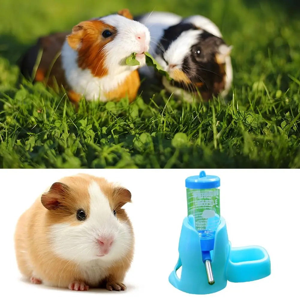 Hamster Water Feeder Image 17