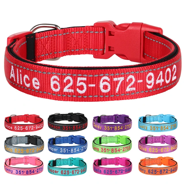 25080-57Ae3C.jpg Reflective dog collar embroidered with name and phone number - nylon with reflective webbing hi vis | |