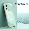 ZB Green