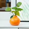 Orange Vase Ceramic Hydroponic Plant Utensils Living Room Office Ornaments Creative Flower Arrangement Small Vase 3