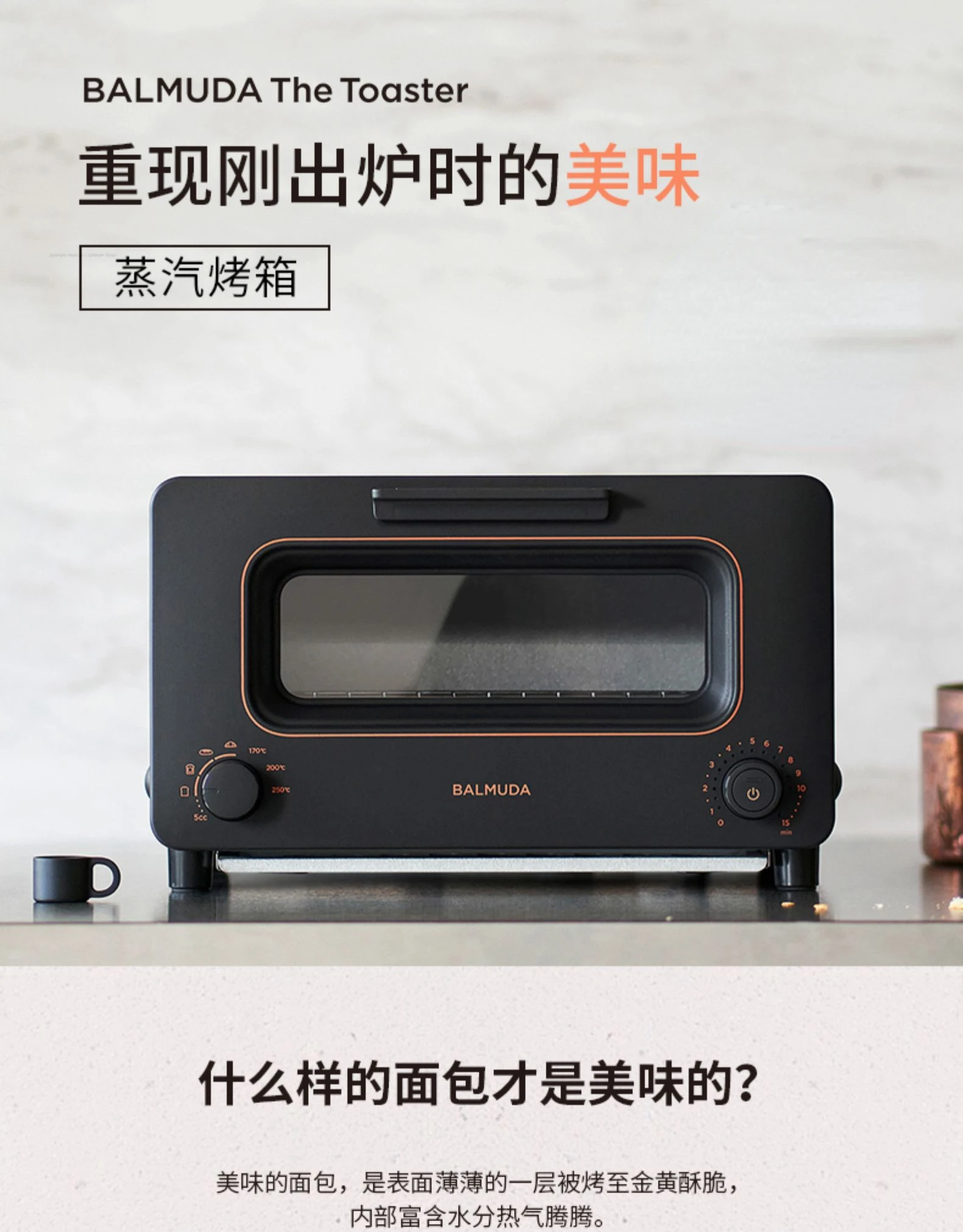BALMUDA steam electric oven for household multifunctional baking fried chicken