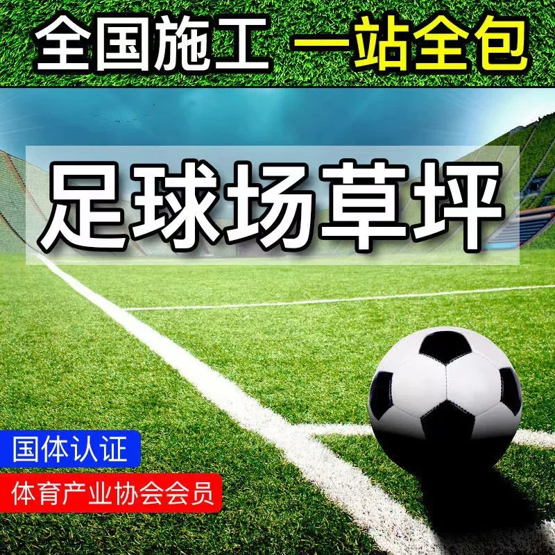 

Artificial Fake Turf For Artificial Turf Football Field Special Lawn Fill-Free Indoor Football Field