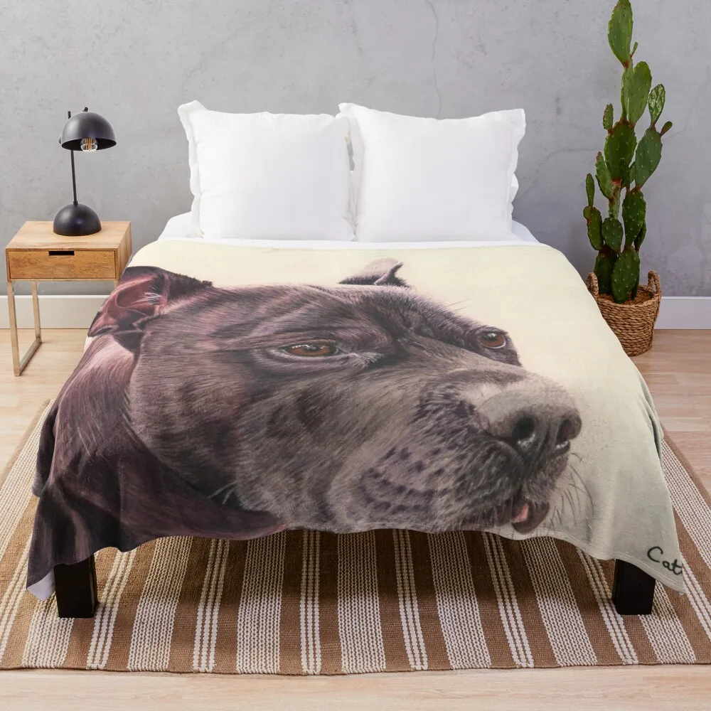 

A Staffordshire Bull Terrier Throw Blanket Soft Custom Blankets