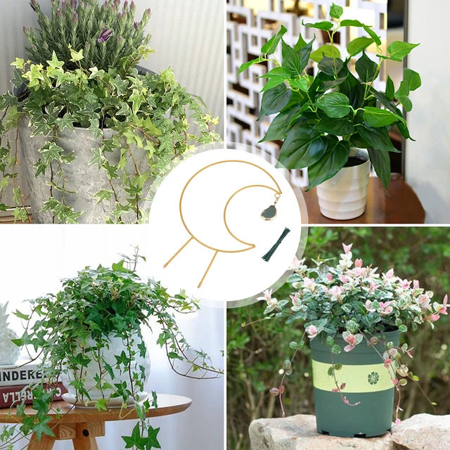 Hold Alakú Növényi Rácsos Hegymászó Virágállvány 20 Darabos Kábelkötéssel Tartós Kerti A Mászó Növény Beltéri Kültéri - Image 4