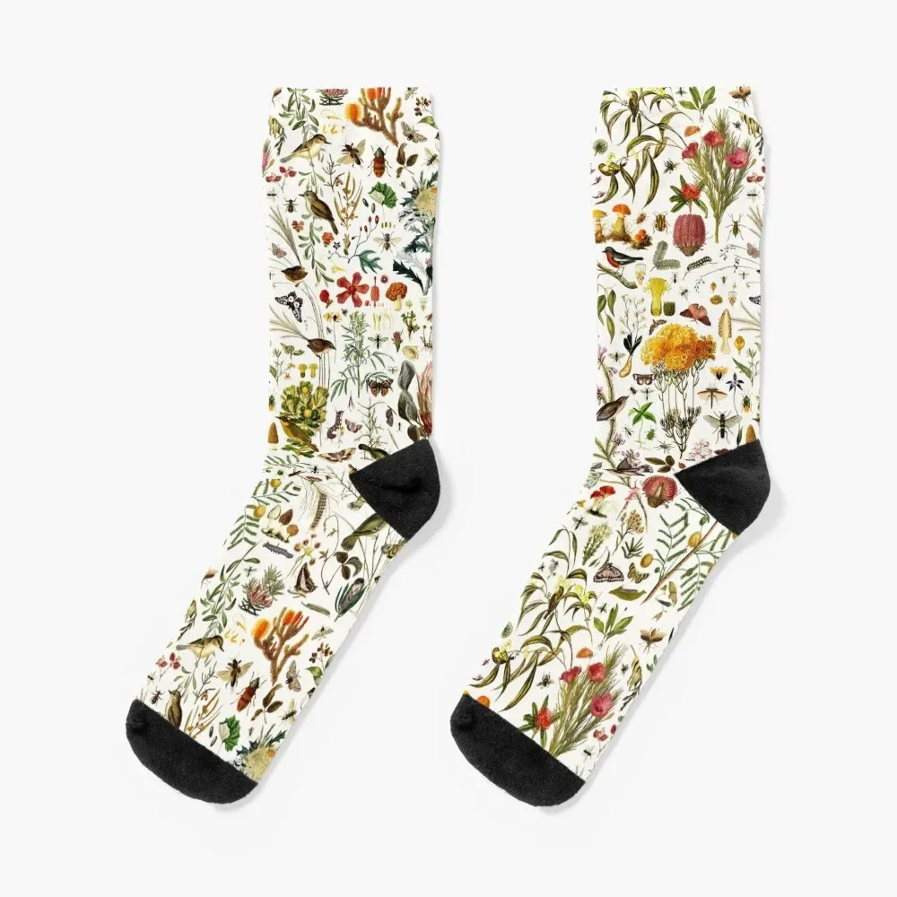 

Biology Australia. Socks sheer new year Socks Woman Men's