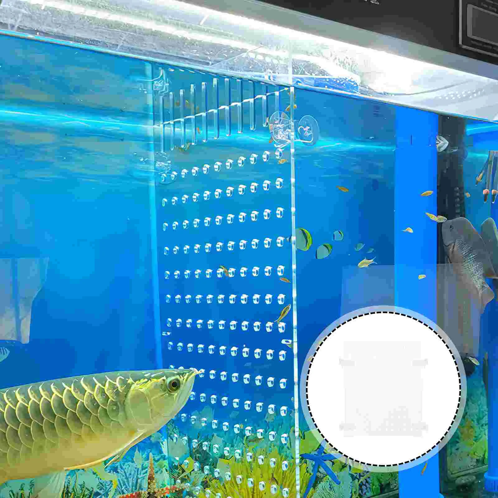 

Acrylic Fish Tank Divider Aquarium Isolation Board Acrylic Aquarium Divider Fish Tank Accessory