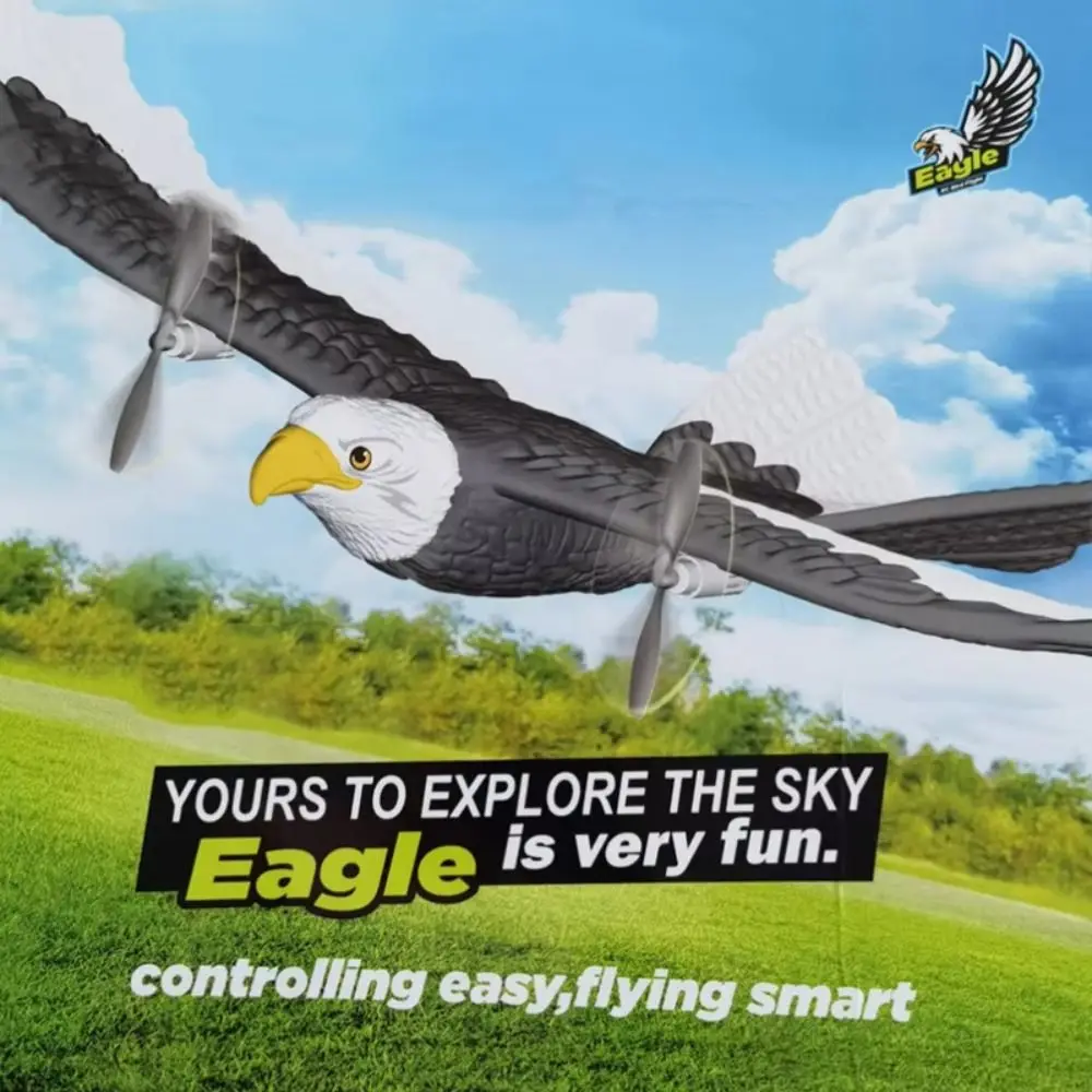 Avion RC FX-651 EPP 2.4G 2CH - Jouet télécommandé aigle 405mm