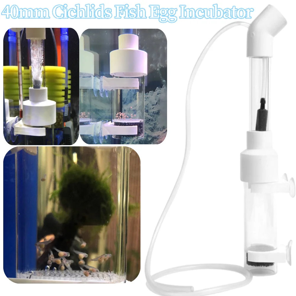 40mm Aquarium Cichlid Tumbler Hatchery Fish Egg Instead Mouth Brooding Accessory Incubator Fish Incubator Hatchery