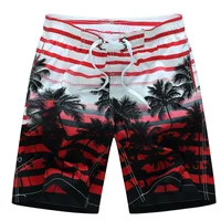 Coconut Tree Mens Swimwear Beach Shorts Surf Board Shorts Sportwear Pant Boy Short Swimsuit Kids Summer Briefs Swimming Trunks 2