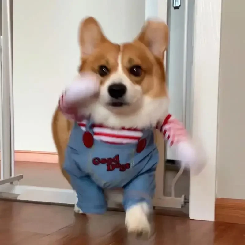 Dog Costume Set Funny Dog Horror Movie Clothes Sweatshirt Set Cosplay Chucky Pet Party Costume Comical Outfits Halloween Dress Jumpsuit