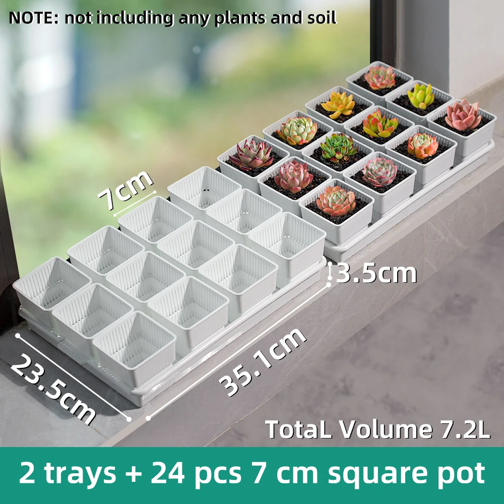 2trays  24pcs 7cm