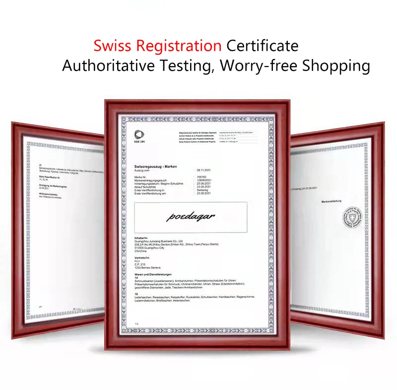 POEDAGAR 151 Automatic Mechanical Men's Watch description image