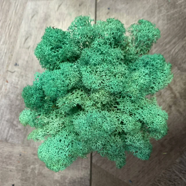 Pacific Green