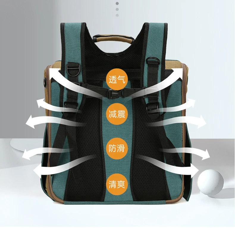 Title 12, Portable Pet Carriers Breathable Mesh Dog Backp...