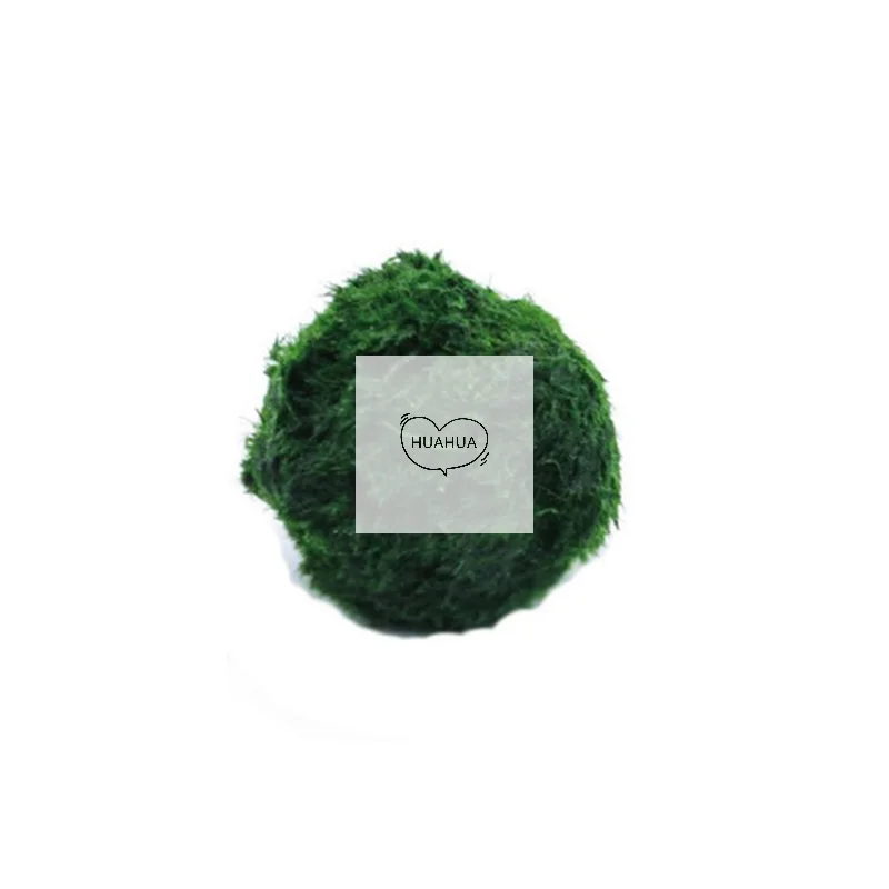 3-4cm Marimo Moss Balls Live Aquarium Plant Algae Fish Shrimp Tank Ornament Simulation Green Algae Balls Artificial Plant