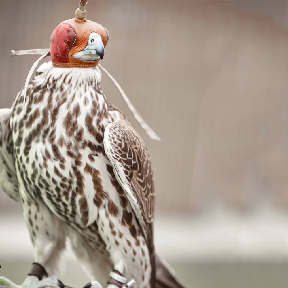 Falconry Eagle Hood Training Hat  Falcon Eye Mask Protector Helmet Nisus Accipiter Virgatus Affinis Eurasian Kestrel