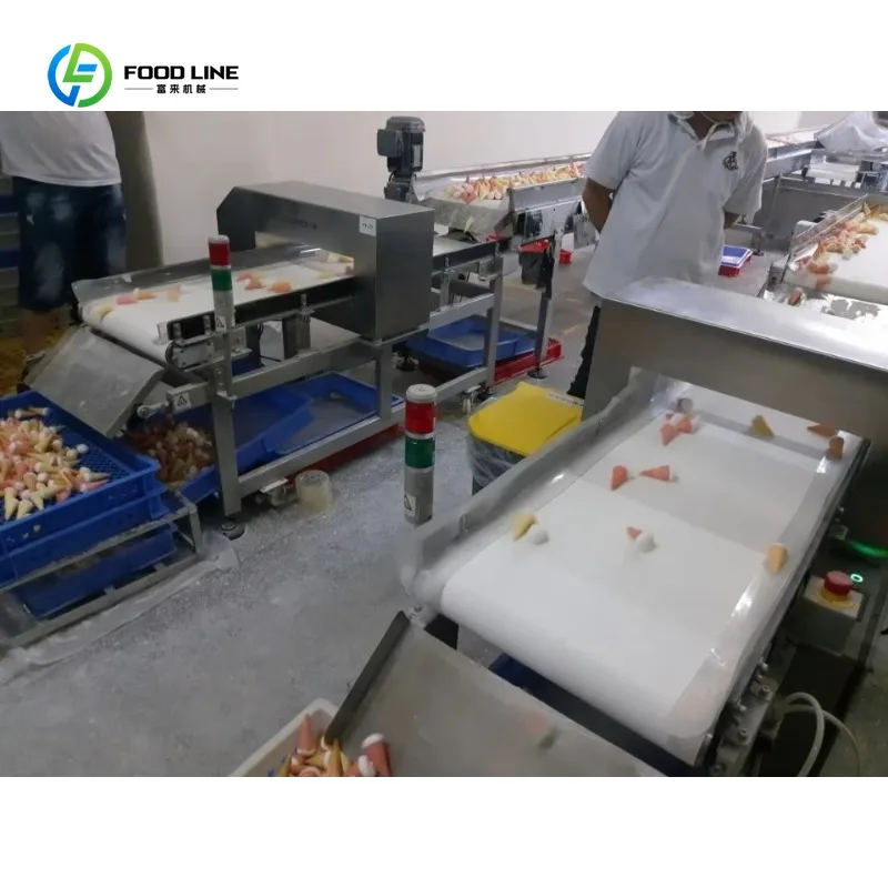 Rilevatore di Metalli per Alimenti Personalizzato ad Alta Sensibilità, Prezzo Conveniente, Attrezzatura Industriale per il Rilevamento di Metalli nella Produzione Alimentare - immagine 5