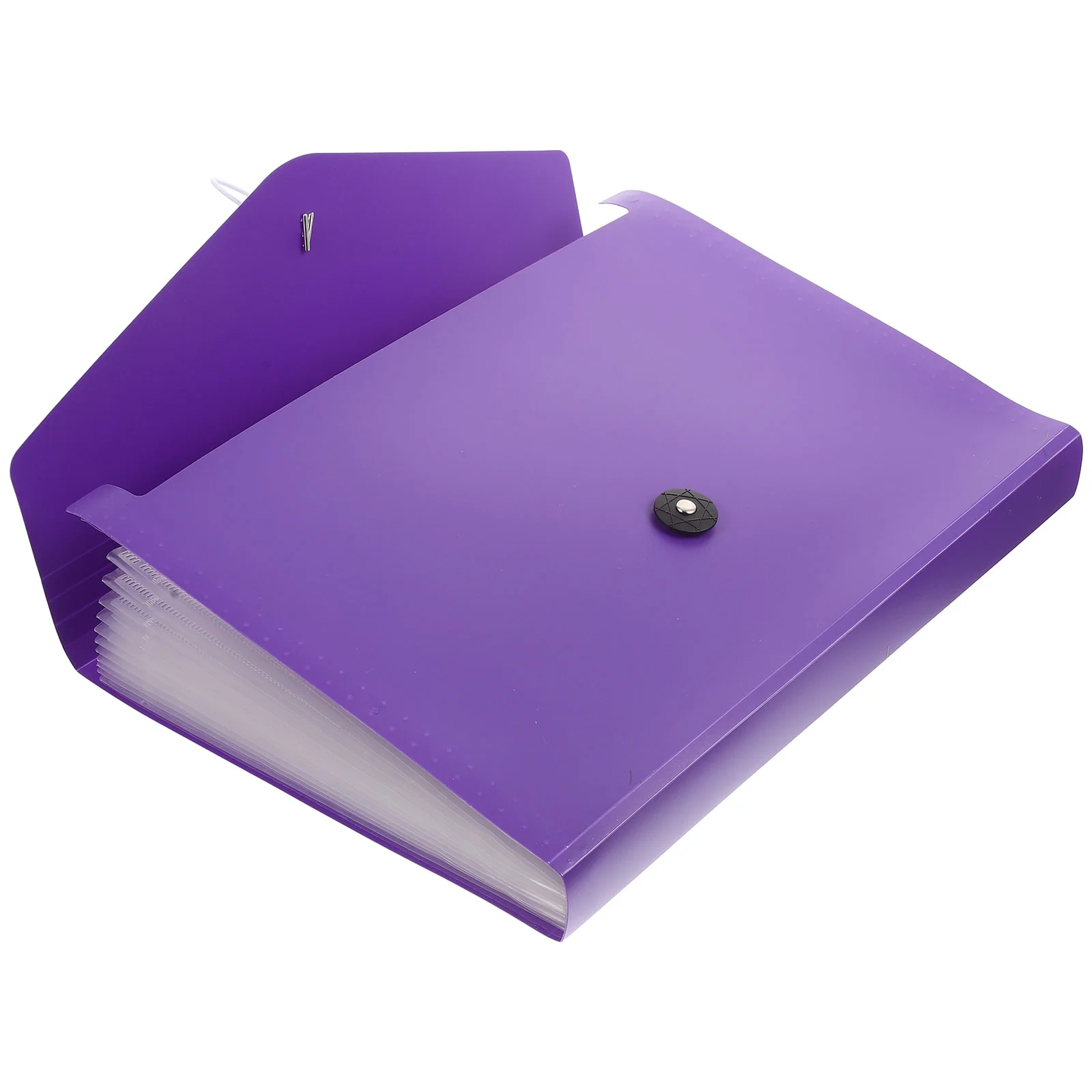 

Test Paper Clip File Holder Accordion Document Organizer Multi-layer Bag Large Capacity Folder Pp Sorting Binder Student
