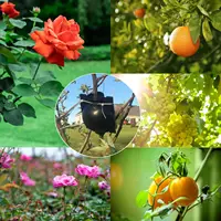 10Pcs Plant Growbox Grow Pots Reusable Propagation Root Growing Box Cuttings Grafting Gardening Seedling Pot Rooting Ball 5