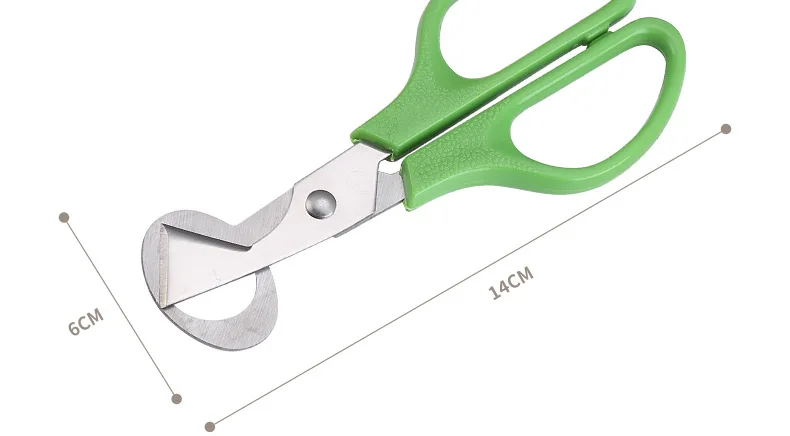 Description Picture 6 of itemDurable Multifunction Kitchen Tools Stainless Steel Blade Quail Egg Shell Scissors Cigar Cutters Rust Resistant