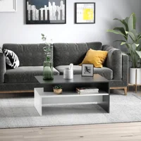 Two-Tone Color Geometric Shape Sofa End Table with Storage Shelving, Black/White 1