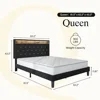 Queen Bed Frame with Led Lights, Charging Station & Storage Shelf Headboard, Diamond Tufted, Black Velvet Upholstered Bed Frame 2