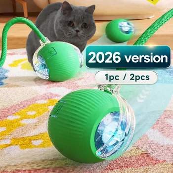 Smart Rolling Cat Ball 1