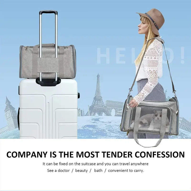 Pet Carrier Bag Side Ventilated Backpack for Cat Dog Travel Airline Approved Transport Outgoing pet carrier bag pet accessories pet carrying bag
