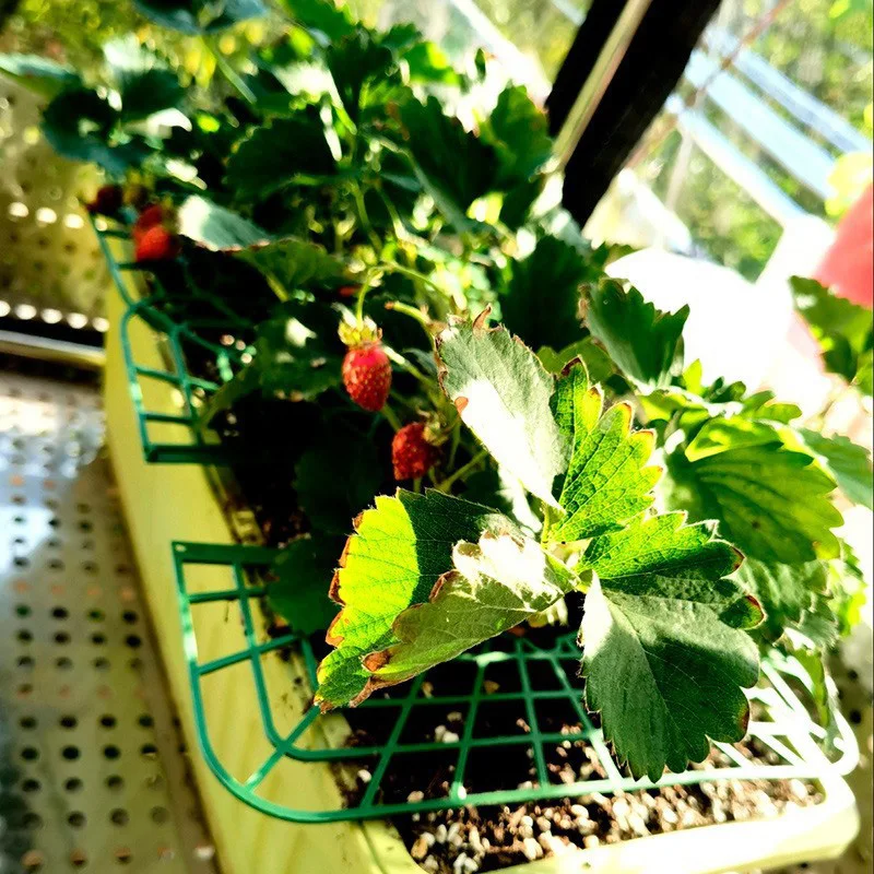 Plastic Strawberry Supports Anti-rot Strawberry Growing Racks Holder Plant Stand Home and Garden Plants Accessories