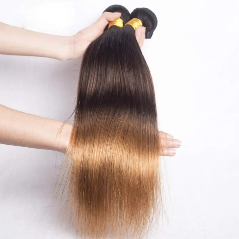 Ombre Brazilian Virgin Human Hair Bundle 12-26Inch Straight Weave Double Weft Extension Hair Bundle 100g/PC T1B/4/27