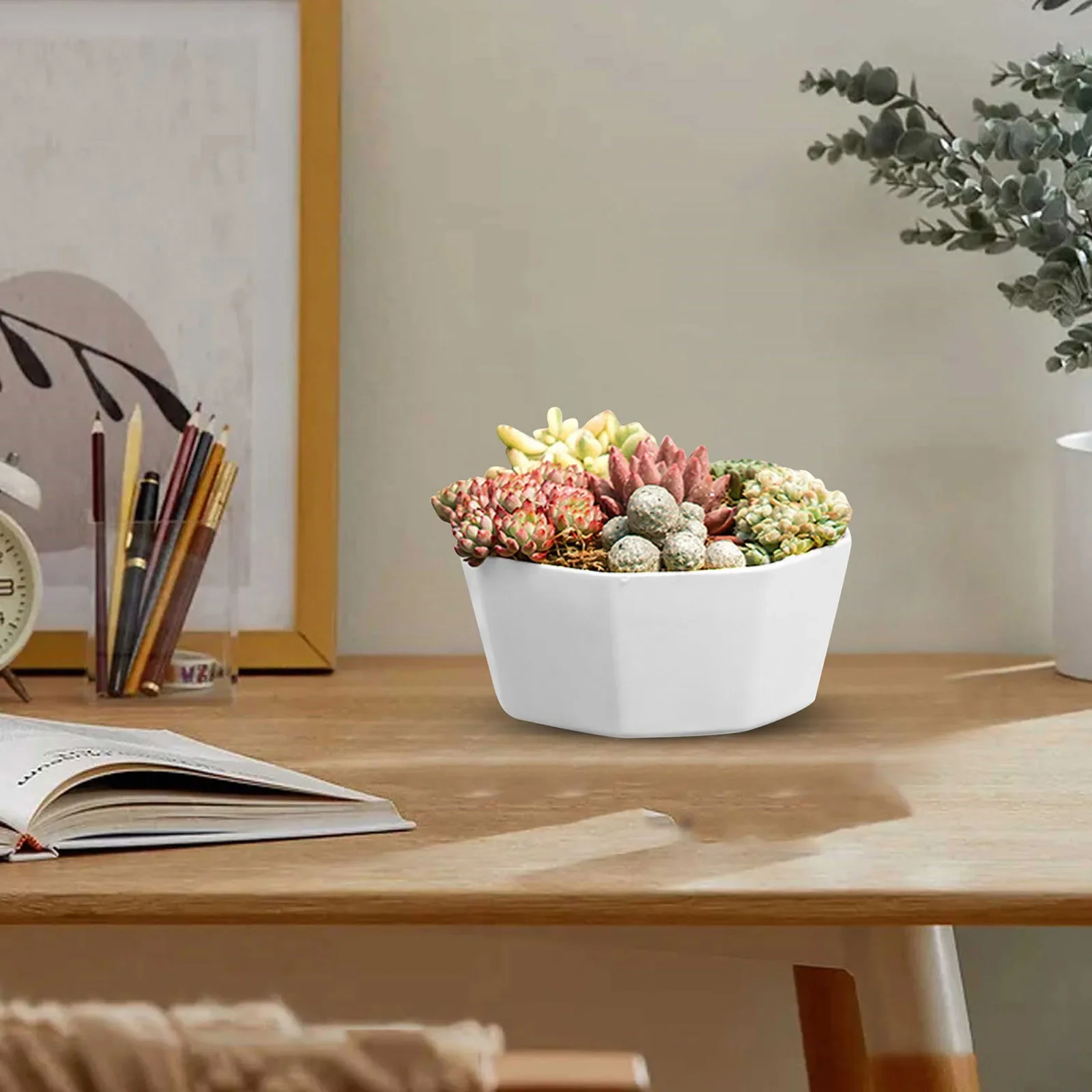 Flower Pots Planters Large Diameter Plastic With Hole