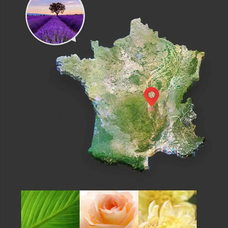 �ڵ��� ���� ��Ʈ �Ʒθ� �׶��� ���, ��� �Ǵ� �� ���, 5ml ���� û���� ���, ����� ���